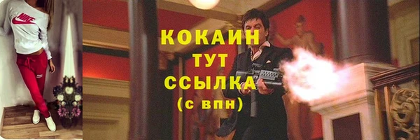 дживик Корсаков